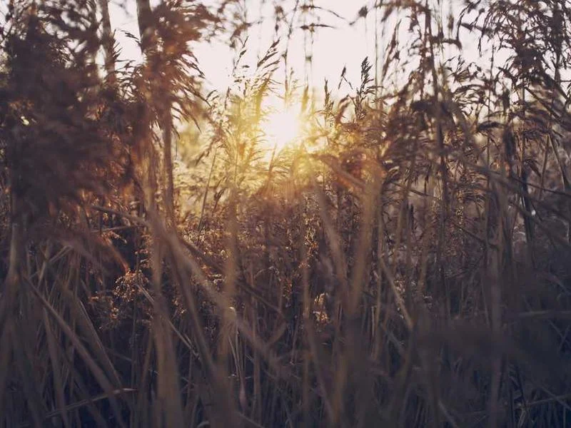 Image 0 de Recherche téléphone