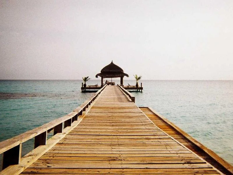 Image 0 de Planche de surf à vendre