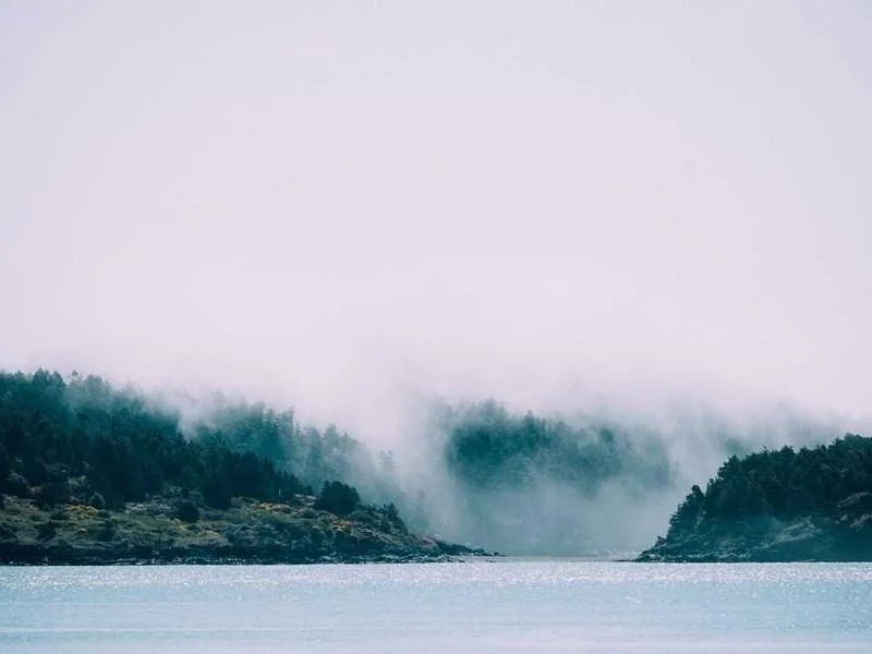 Image 0 de Téléphone à vendre