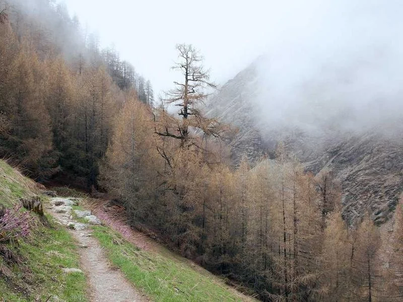 Image 0 de Objet divers à vendre