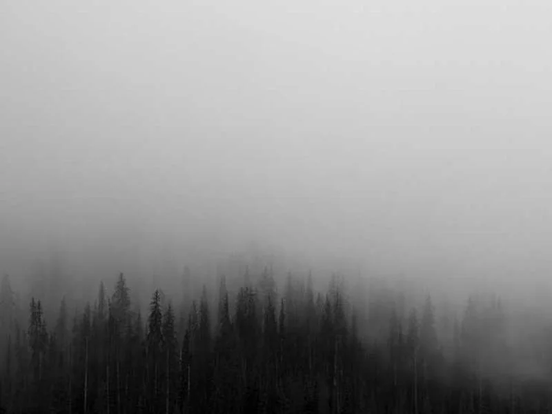 Image 0 de Voiture à vendre