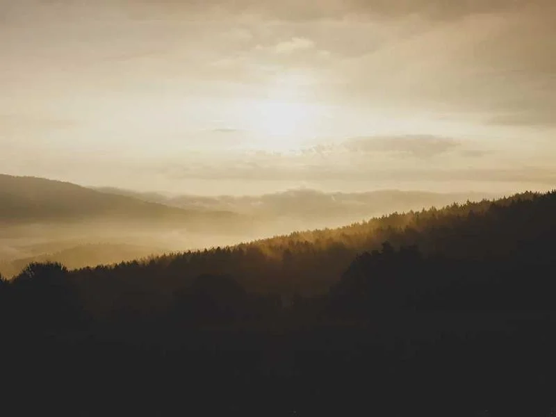 Image 0 de Planche de surf à vendre