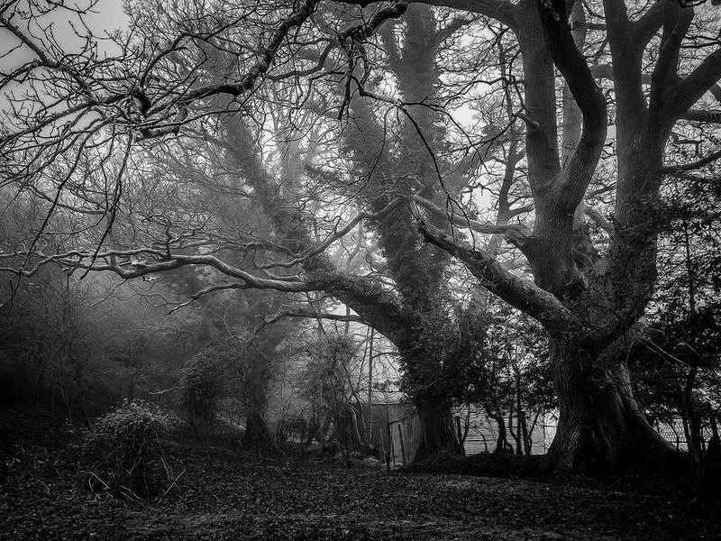 Image 0 de Lot divers à vendre