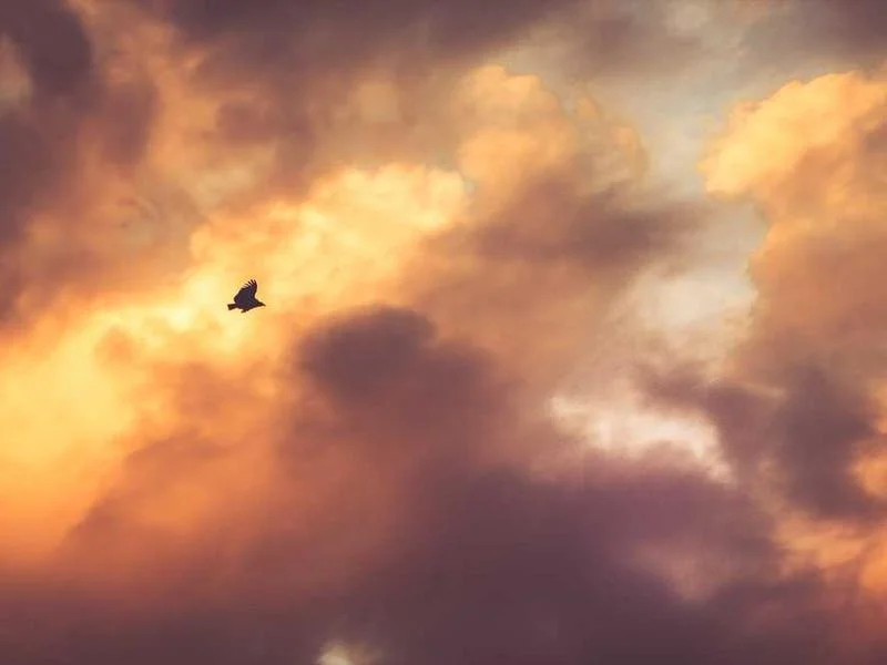 Image 0 de Donne lot divers