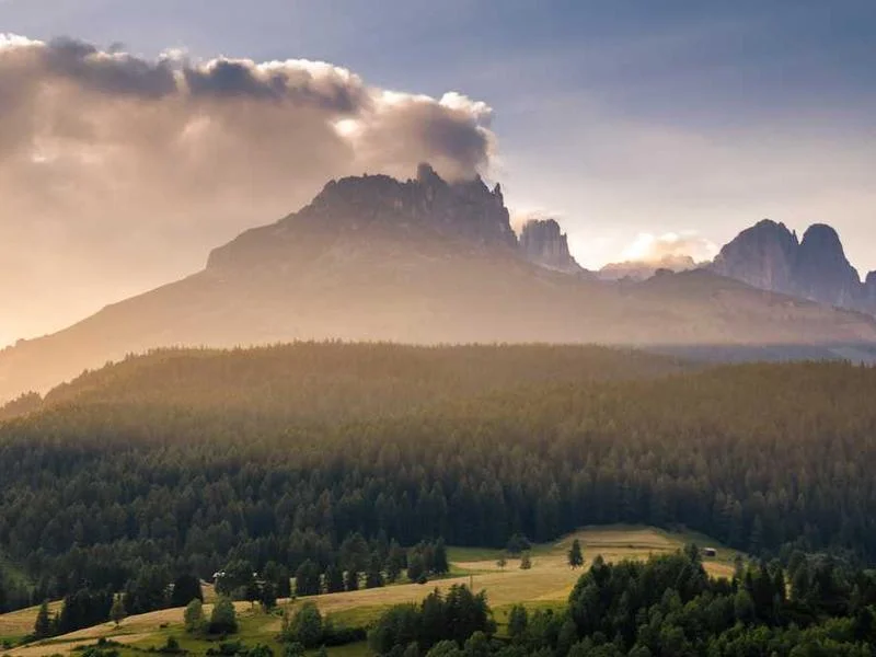 Image 0 de Scooter à vendre