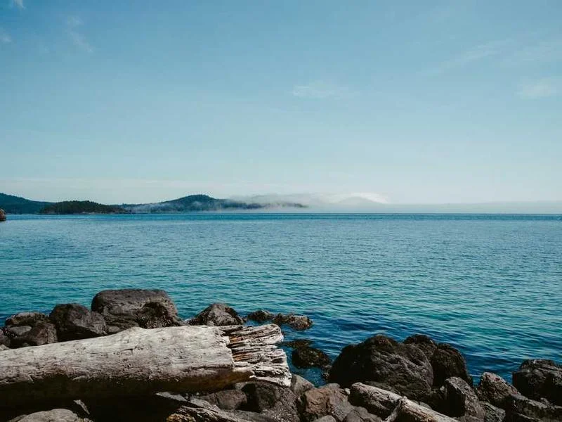 Image 0 de Garage à vendre