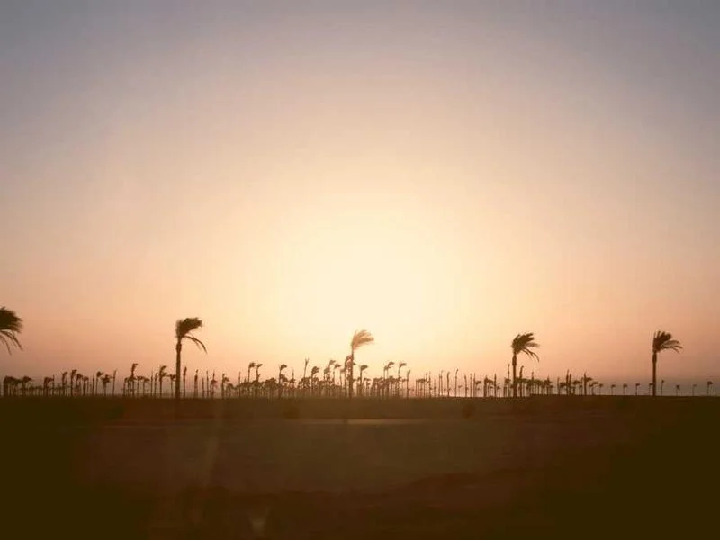Image 0 de Donne bureau