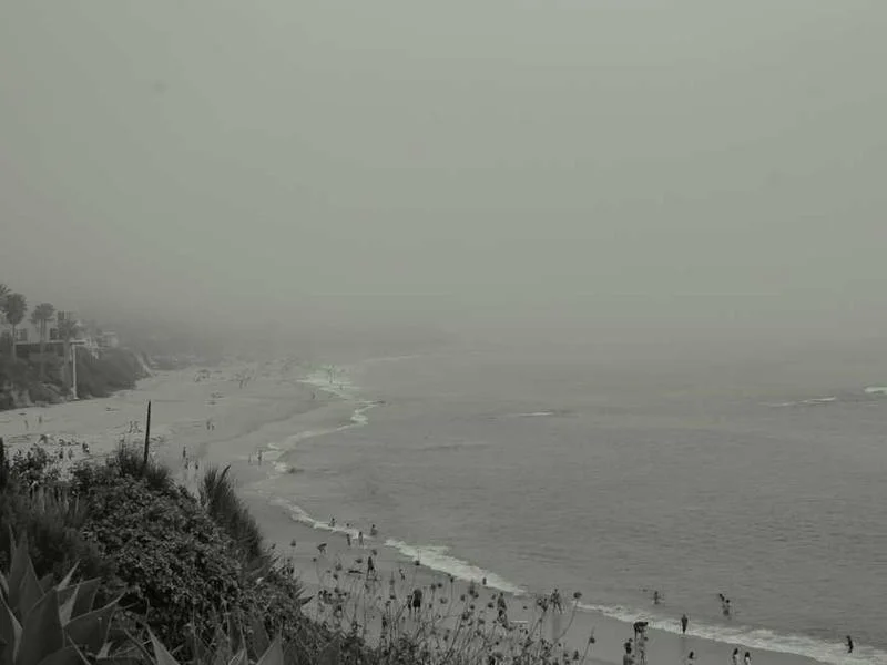 Image 0 de Planche de surf à vendre