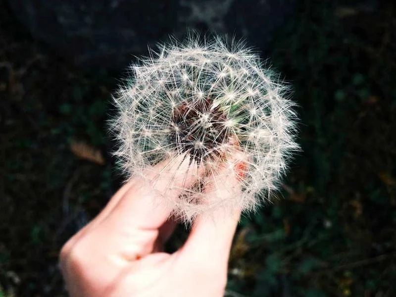 Image 0 de VTT à vendre