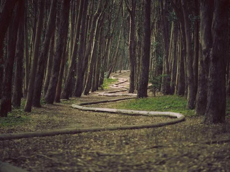 Image 0 de VTT à vendre