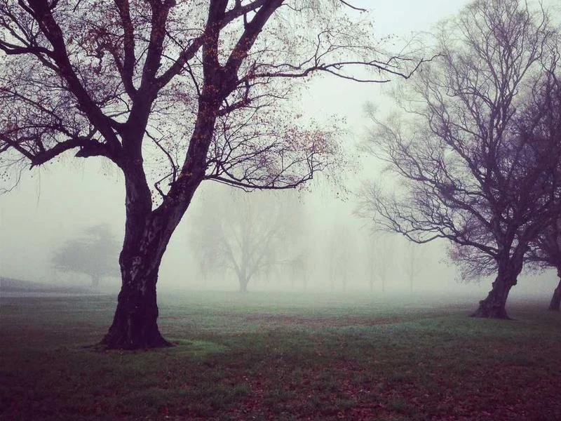 Image 0 de Objet divers à vendre