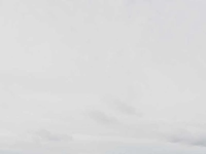 Image 0 de Planche de surf à vendre