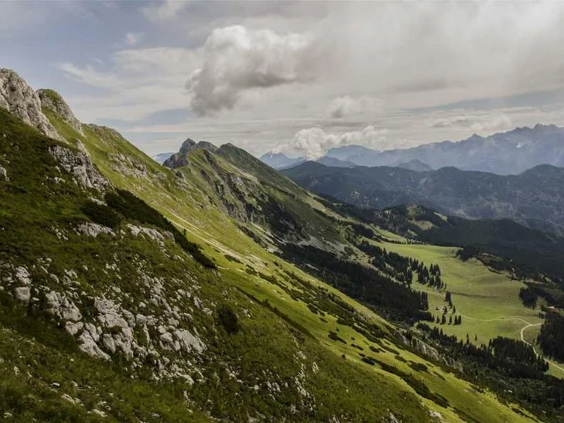 Image 0 de Objet divers à vendre