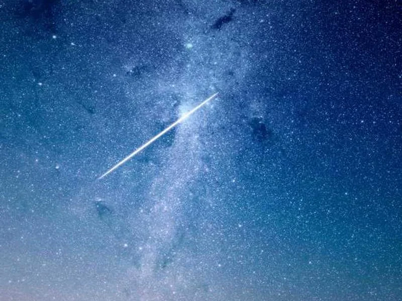 Image 0 de Recherche utilitaire