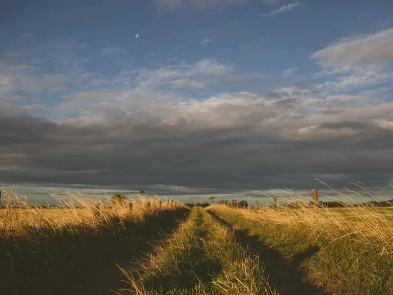 Image 0 de Objet divers à vendre