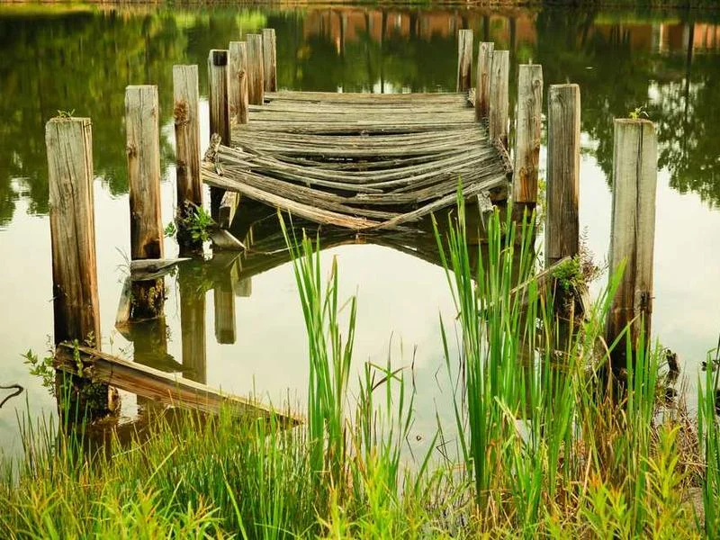 Image 0 de Objet divers à vendre