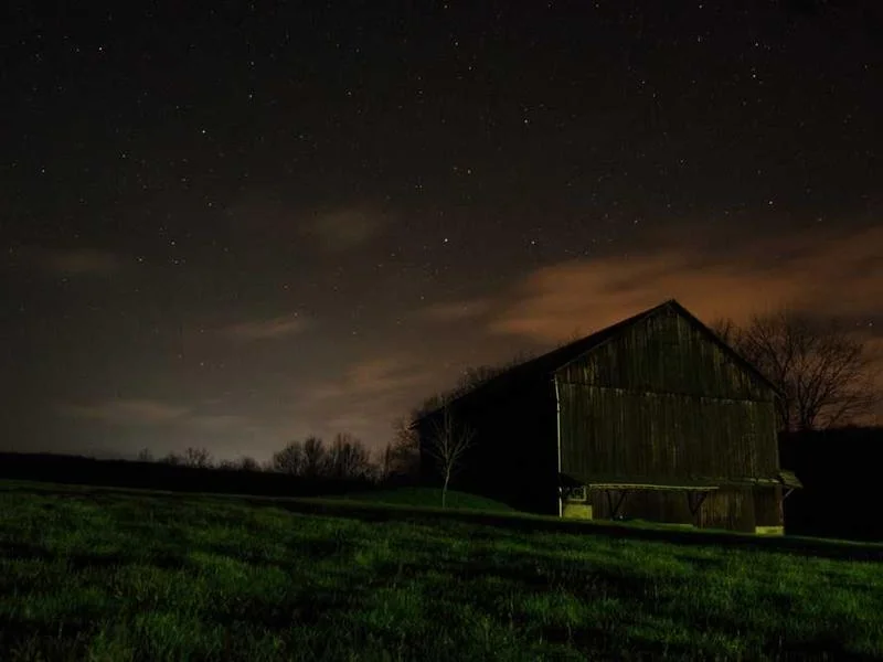 Image 0 de Recherche utilitaire