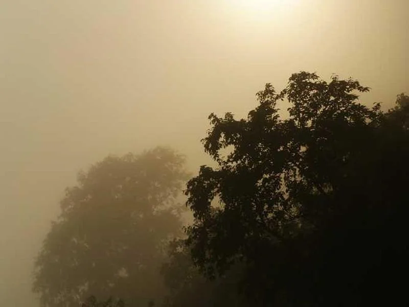 Image 0 de Planche de surf à vendre