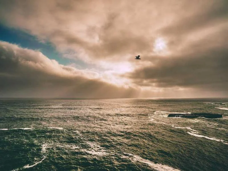 Image 0 de Objet divers à vendre