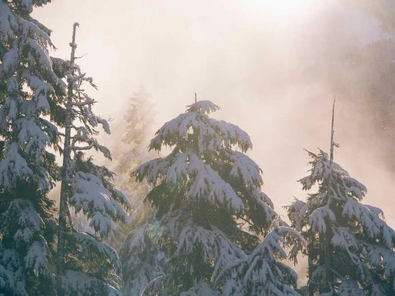 Image 0 de Recherche télévision