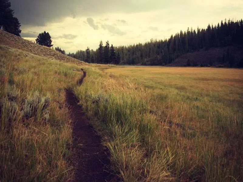 Image 0 de Canapé à vendre