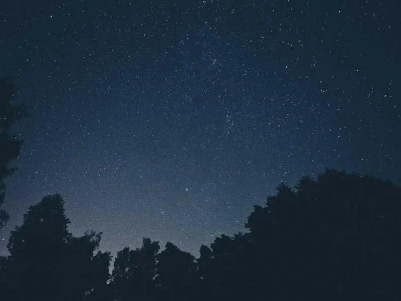 Image 0 de Planche de surf à vendre