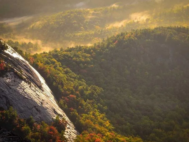 Image 0 de VTT à vendre