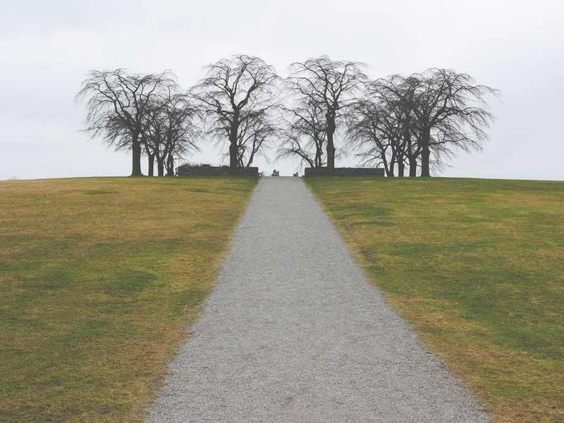 Image 0 de Objet divers à vendre