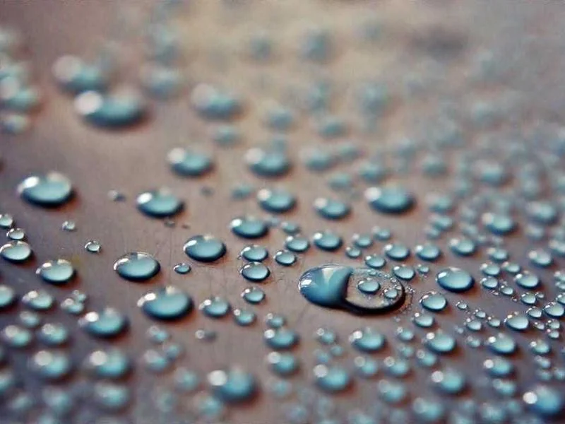 Image 0 de Donne table