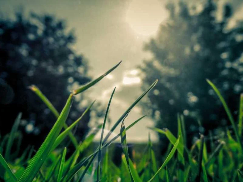 Image 0 de Lot divers à vendre