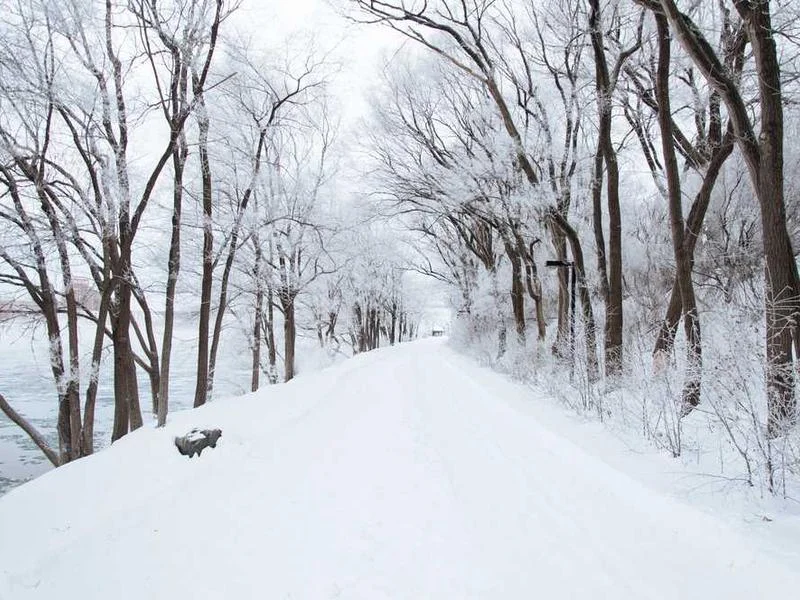 Image 0 de Lot divers à vendre