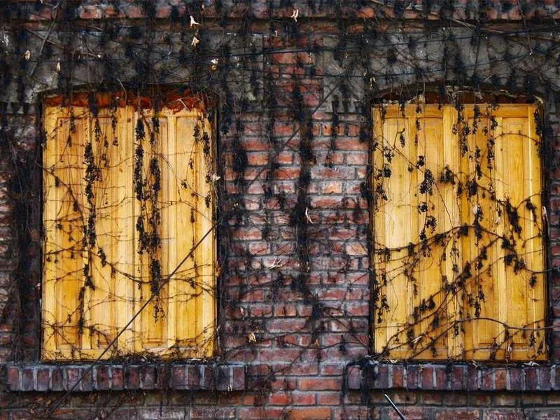 Image 0 de Lot divers à vendre