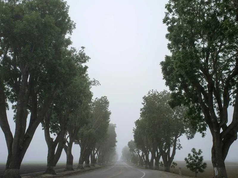 Image 0 de VTT à vendre