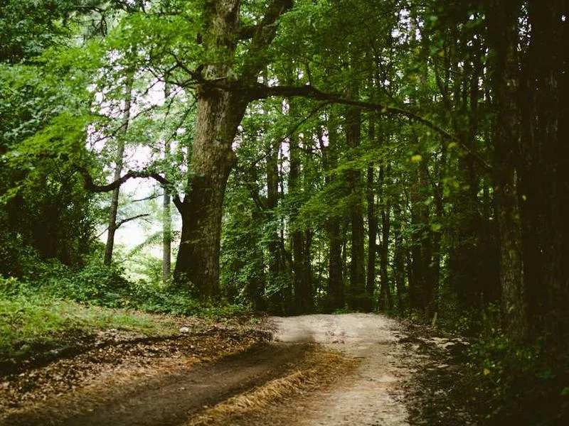 Image 0 de VTT à vendre