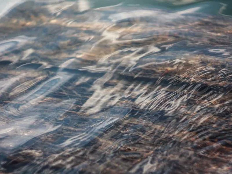 Image 0 de À vendre