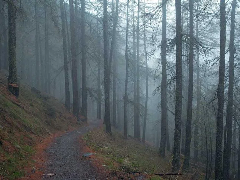 Image 0 de Kayak à vendre