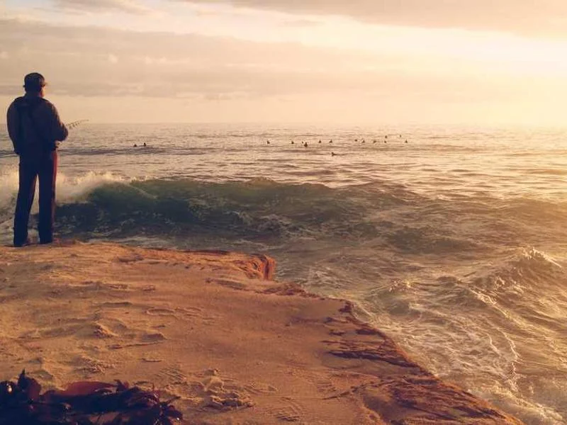 Image 0 de Bureau à vendre