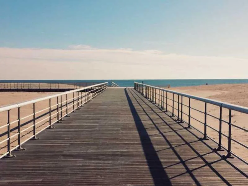 Image 0 de Recherche télévision