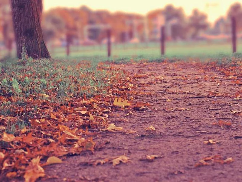 Image 0 de Recherche téléphone