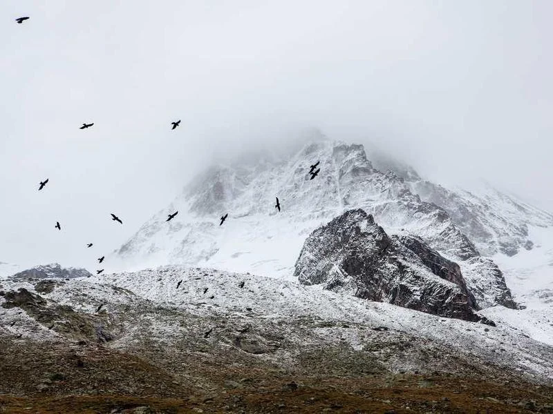 Image 0 de Ordinateur portable à vendre