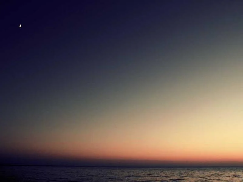 Image 0 de VTT à vendre