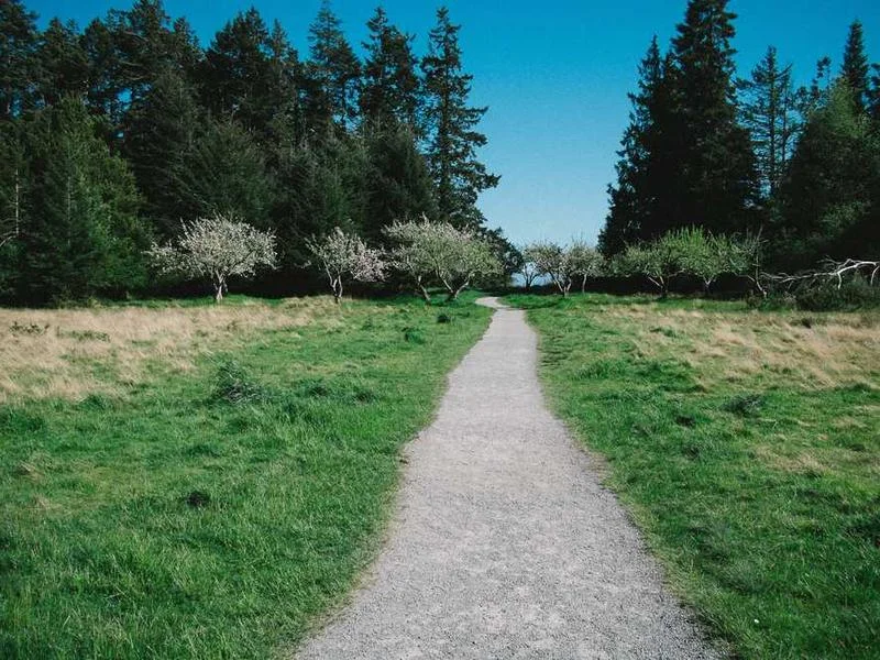 Image 0 de Commode à vendre