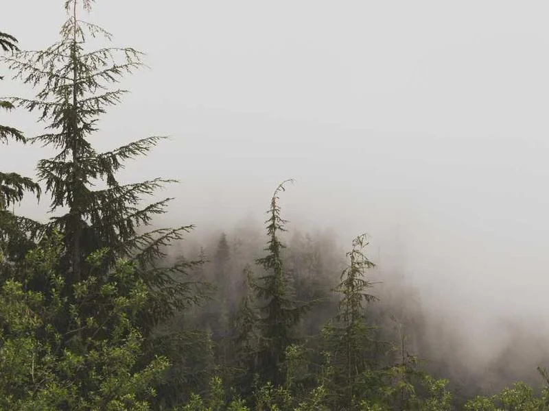 Image 0 de Lot divers à vendre