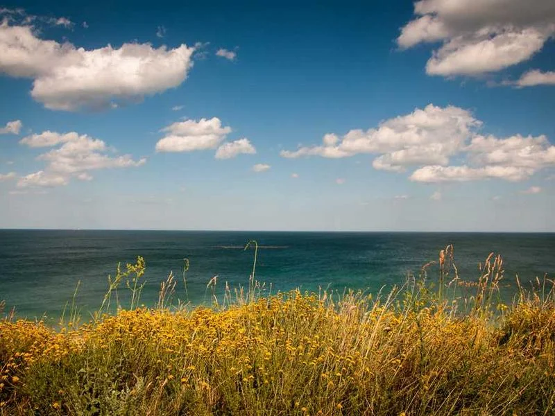 Image 0 de Donne table