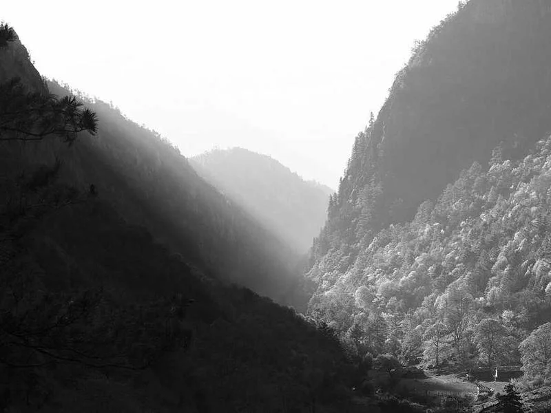 Image 0 de Objet divers à vendre