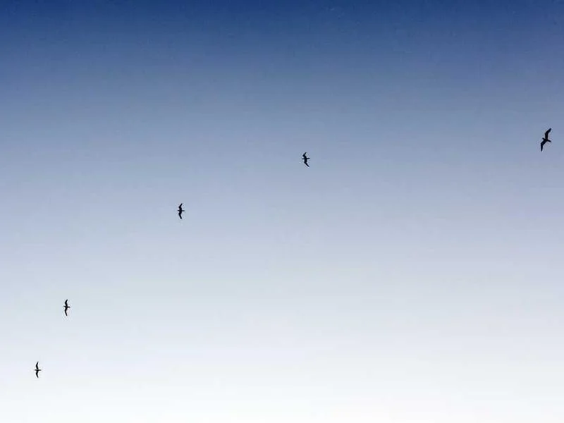 Image 0 de Donne lot divers