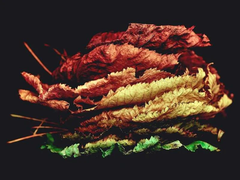 Image 0 de Lot divers à vendre