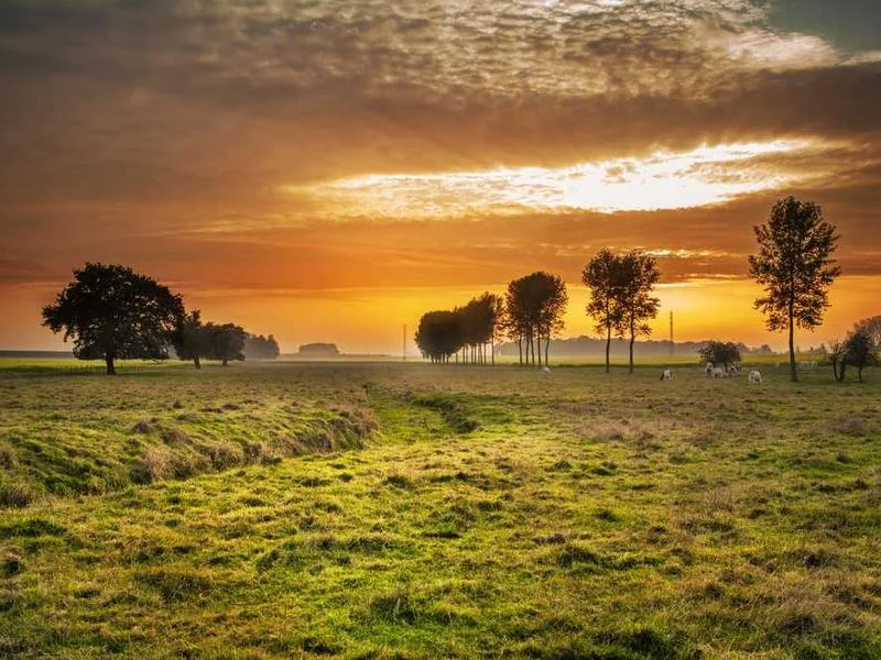 Image 0 de Donne objet divers