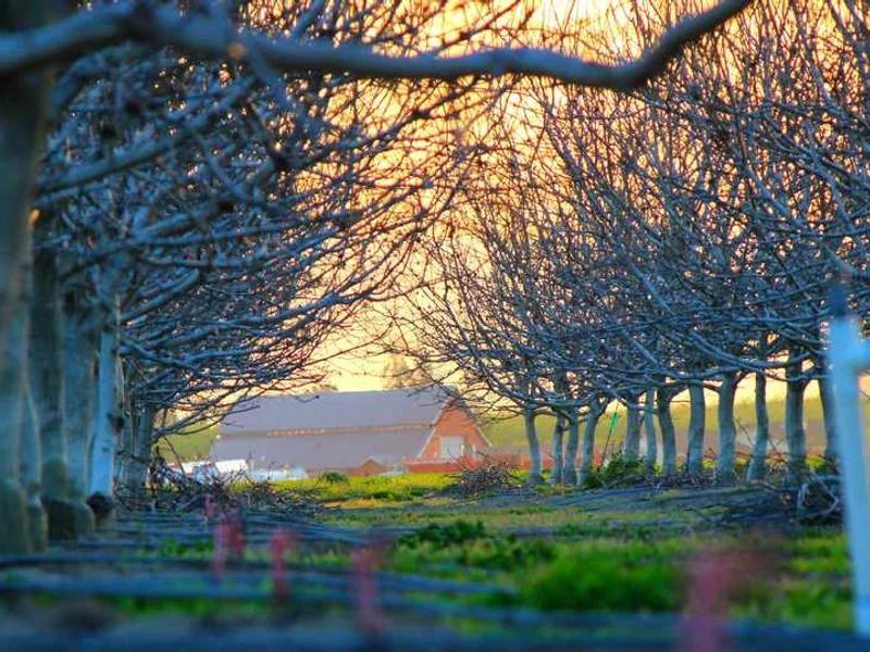 Image 0 de Bureau à vendre