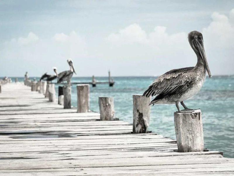 Image 0 de Donne objet divers